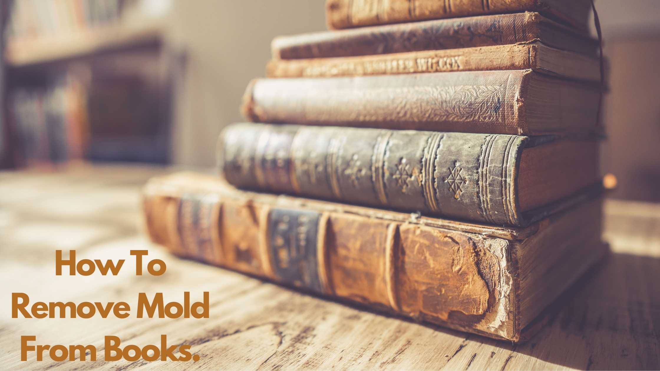 How to remove mold from books