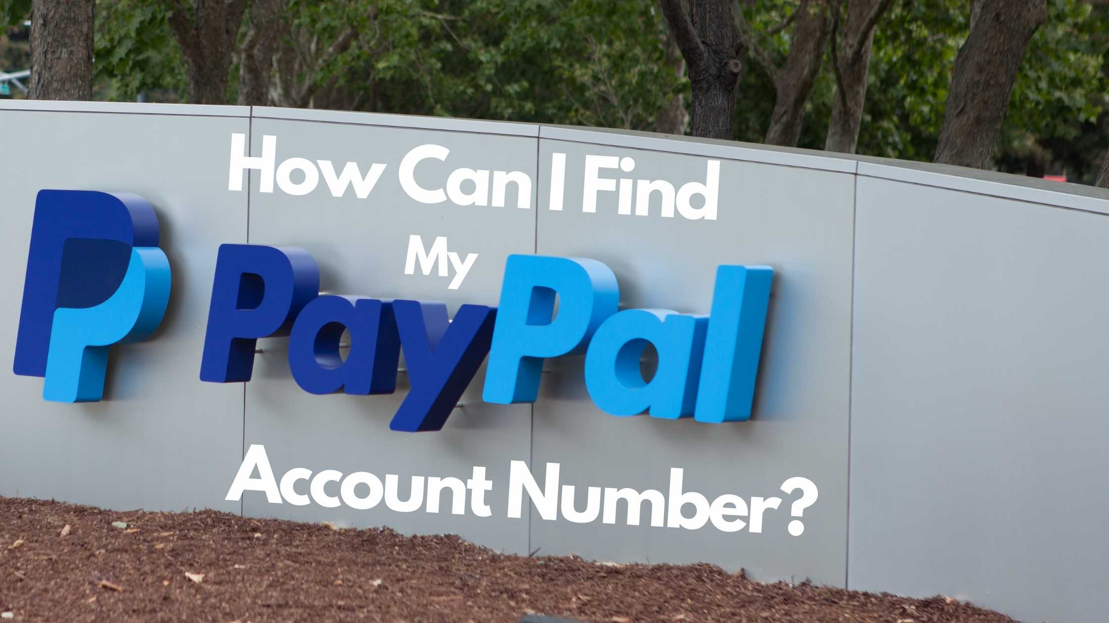 How Can I Find My Paypal Account Number?